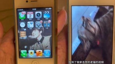 iPhone按错密码被锁10年 女子解锁后重获已逝猫咪视频超感人