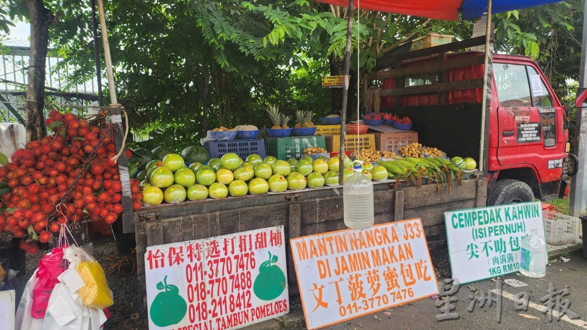 NS芙蓉/中秋佳节柚子上市 果贩：行情慢热