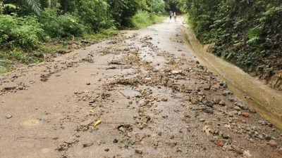 極端天氣不再安全  檳州兩座森林公園暫關閉