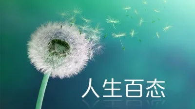 郭鍾桂 | 菜狗旺旺的命運