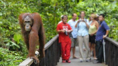 張慶信：與人資部商對策 助旅遊酒店業應對最低薪