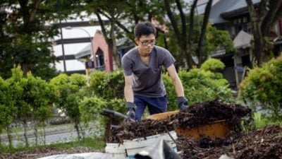 葉靜綜化廚餘為肥料 在鬧市建環保菜園