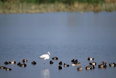 Integrated ecological efforts assist green development in China’s western region