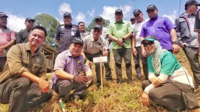 贡古拉森林修复计划启动 重建185公顷林地生态