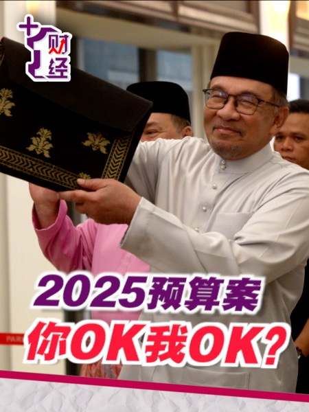 《+1财经》2025预算案 有没有糖果？