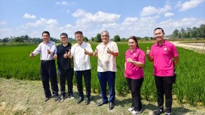 陈冠勋：巴知坡民可与旺马合作 善用空地发展稻米种植