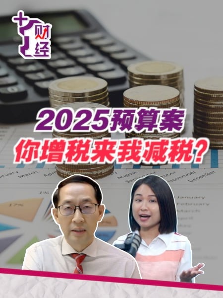 《+1财经》2025预算案增税减税 税务专家来预料