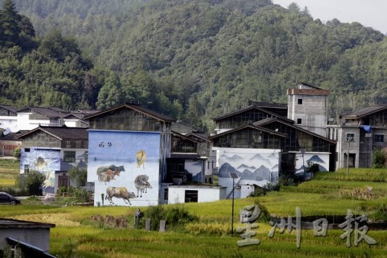 【中国】青山绿水，摄游贵州