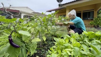 【大城小鎮：兵如港／03】從一爿小菜園推動地方創生──日光小屋