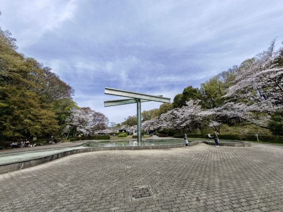 【日本】举头望樱花，低头寻井盖──东京都‧町田市