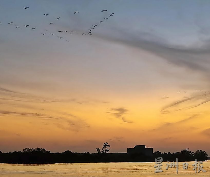 万鸟归巢大自然恩赐 勿追鸟免吓走破坏生态