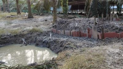 養雞場汙水流過界風波 業者澄清：當初有協議