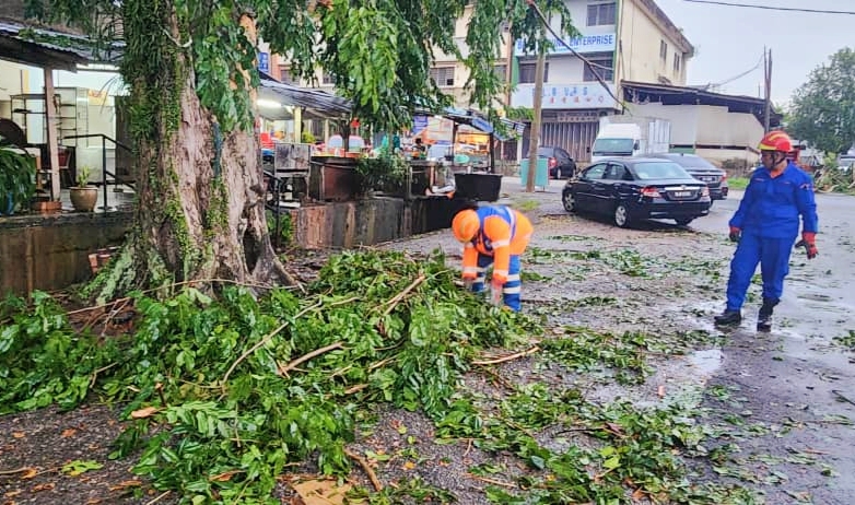 东：文德甲昨天傍晚遭遇暴风雨怪风吹袭，多处倒树，拯救单位疲于奔命协助清理各地点