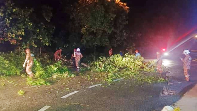 东：文德甲昨天傍晚遭遇暴风雨怪风吹袭，多处倒树，拯救单位疲于奔命协助清理各地点