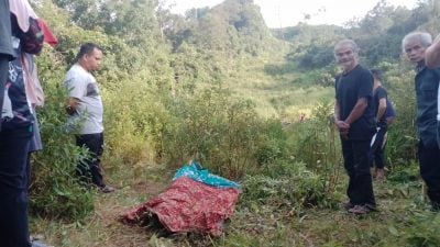 前往園丘 一去不歸 老翁疑遭大象踩死