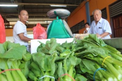 雨水过多 减产40%   菜价暴涨40至300%