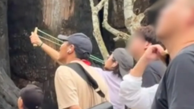 中國女子游泰國動物園  疑拿彈弓射猴子 惡劣畫面曝光