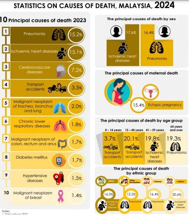 去年肇1.8万人死 肺炎成马“第一杀手”