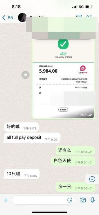 又是网购“拉布布”骗局 美睫师与友人被骗走数万