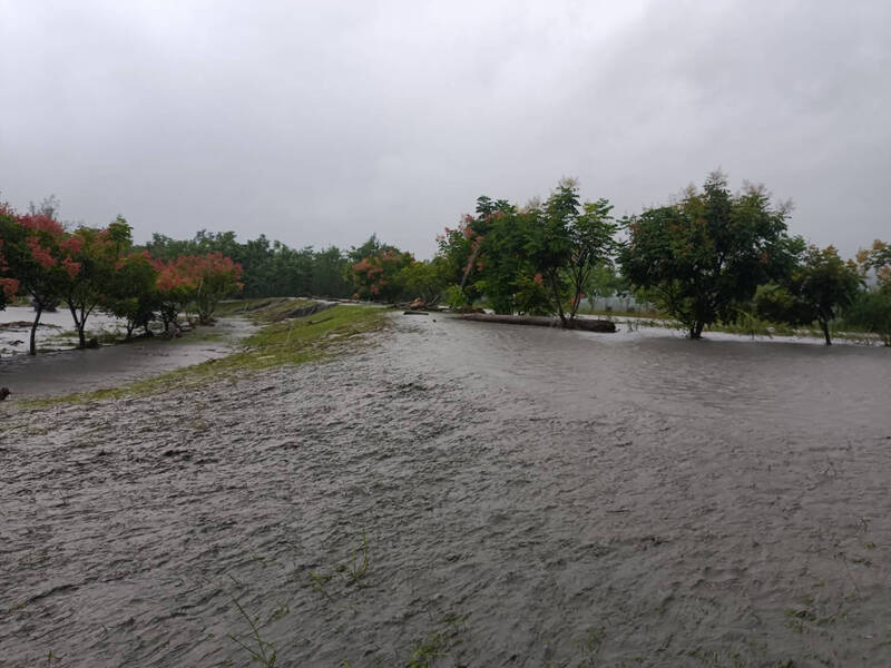 台东鹿寮溪新良湿地溃堤 《粉红河马》上升