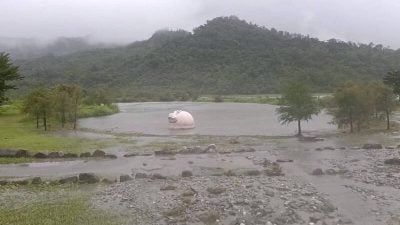 台东鹿寮溪新良湿地溃堤 《粉红河马》上升