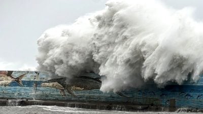 颱風康妮襲臺 全臺週四停課停班股市休市