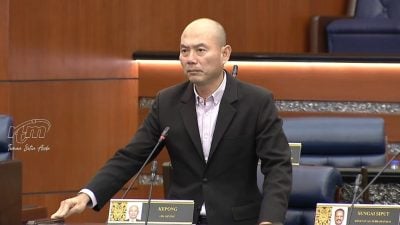 林立迎：属严重罪行 金融罪犯不应居家服刑