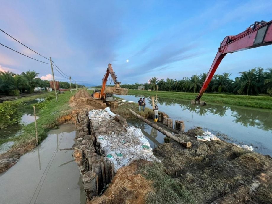 ( 大北马）双溪波甲园坵堤岸决堤 抢修后缺口堵住了 