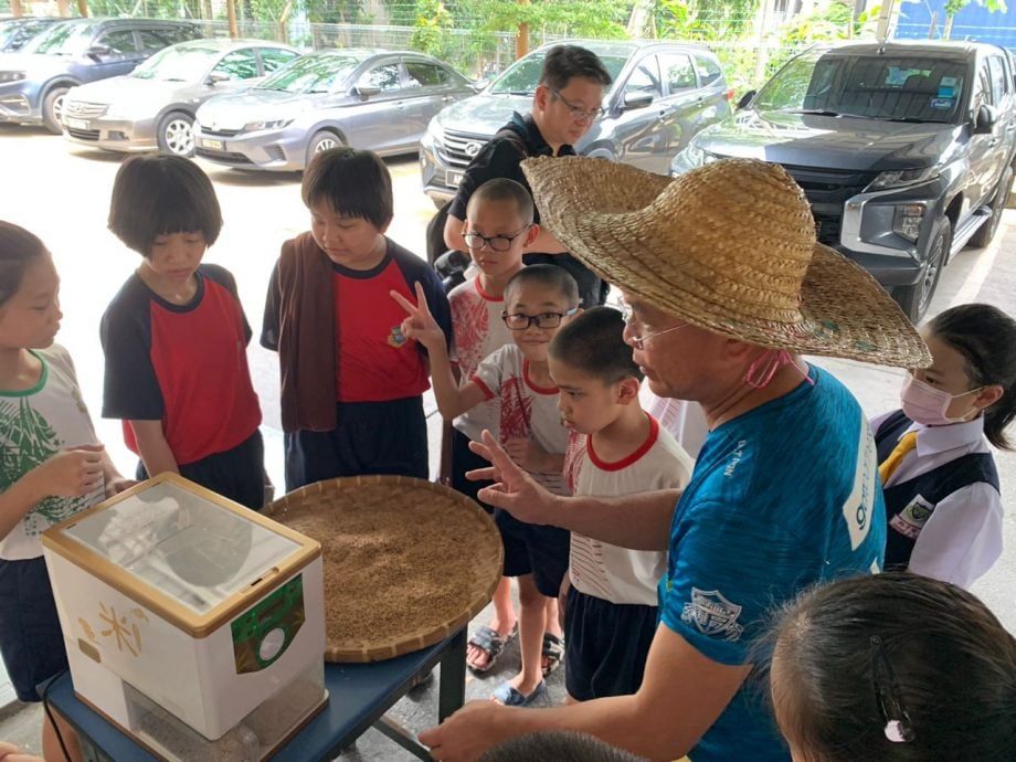 大都会/封面/适耕庄以外的稻田出现在加影育华小学