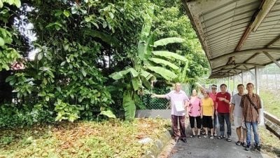 蛇虫鼠蚁出没后巷  猫变护宅神 咬死毒蛇