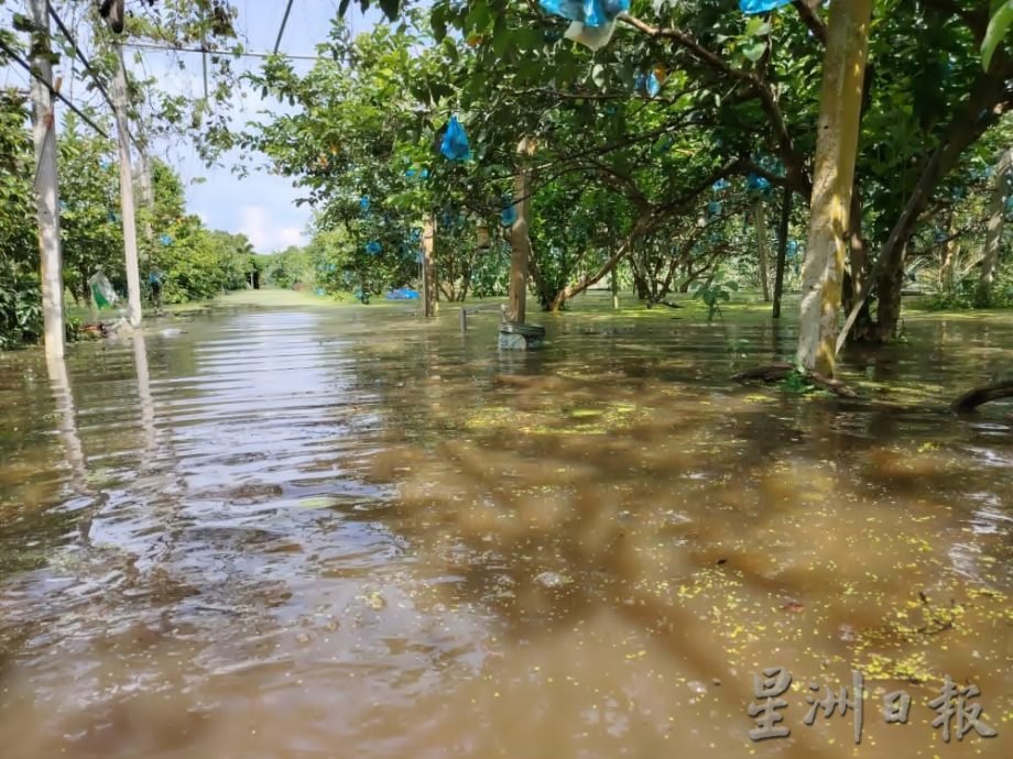 安顺水位不再上升 大潮水灾情况趋稳 