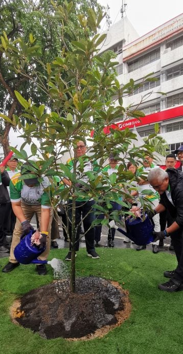 种一棵树，播一颗种子，新山市厅种甘蜜、胡椒及古塔胶留住及传播历史