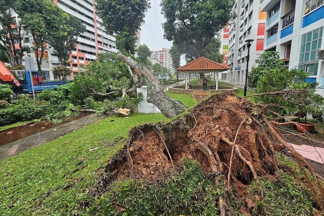 *已签发*柔：狮城二三事：一场滂沱大雨 狮城21处突发性淹水