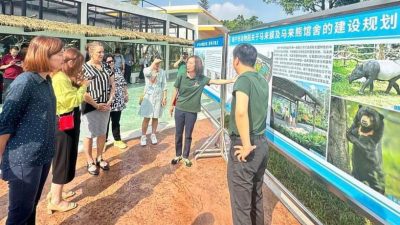 黃詩情：擬與太平互換動物 南寧規劃馬來貘馬來熊館