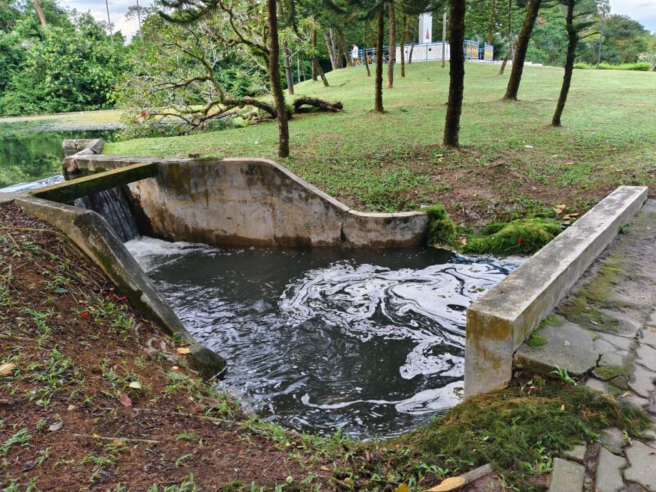 晨运者促市议会抢修 太平湖水满溢淹行人道 