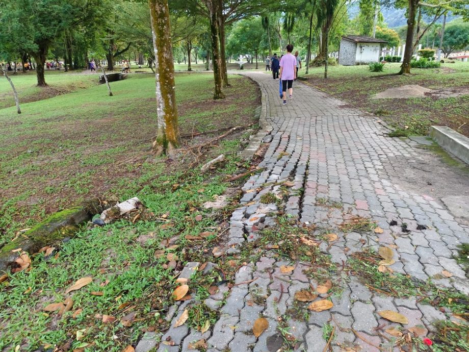 晨运者促市议会抢修 太平湖水满溢淹行人道 