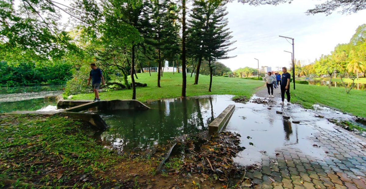 晨运者促市议会抢修 太平湖水满溢淹行人道 