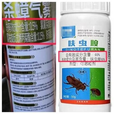 曱甴不怕杀虫水？佛山实验指出有抗药性 网民：拖鞋更有用