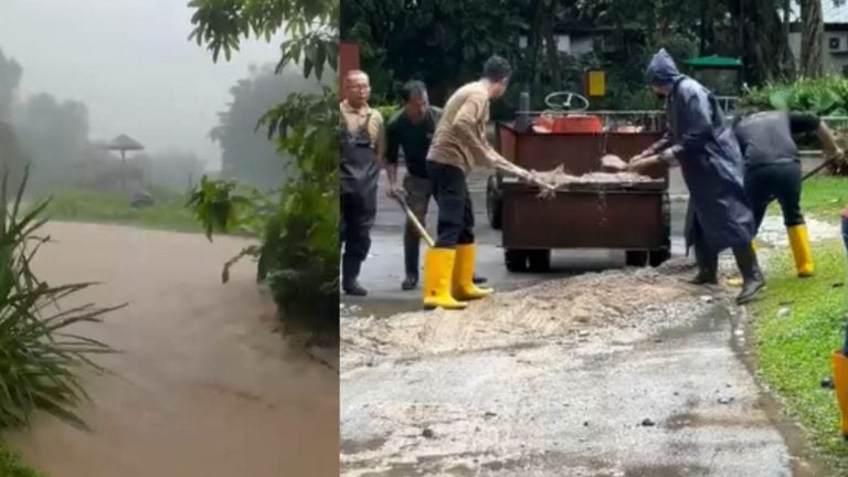 国家动物园雨后水灾   动物皆安全没逃走