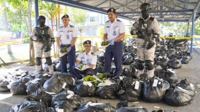 泰國哥冬葉價回升   玻州走私活動再活躍