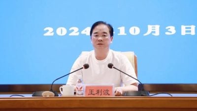 湖南醴陵爆竹厂连环爆 官方未提伤亡具体人数