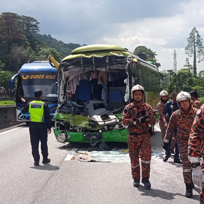 警查旅巴追尾罗里肇因 日女游客胸腹部伤身亡