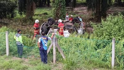 失控撞入油棕園   四驅車翻覆 司機夾斃