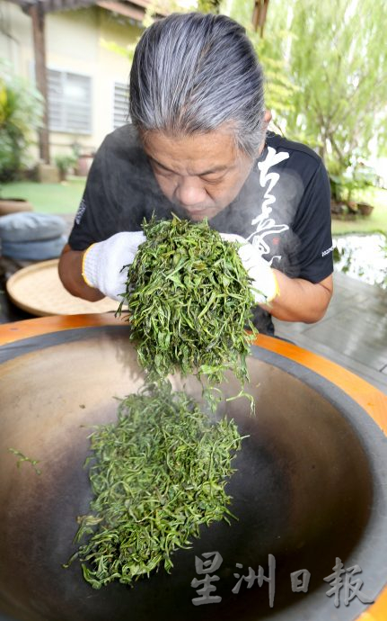 霹：封底主文／它的诞生|萎凋、杀青、揉捻到晒青  一窥鲜叶变茶叶制茶工序