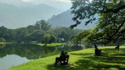 太平湖公園 活力不老