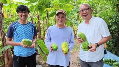 綠意盎然 | 一己之力 荒地變果園  退休裁縫師快樂出汗