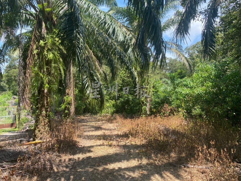 （古城封面主文）甲政府首开先河 生命护生园获租2亩地设庇护所