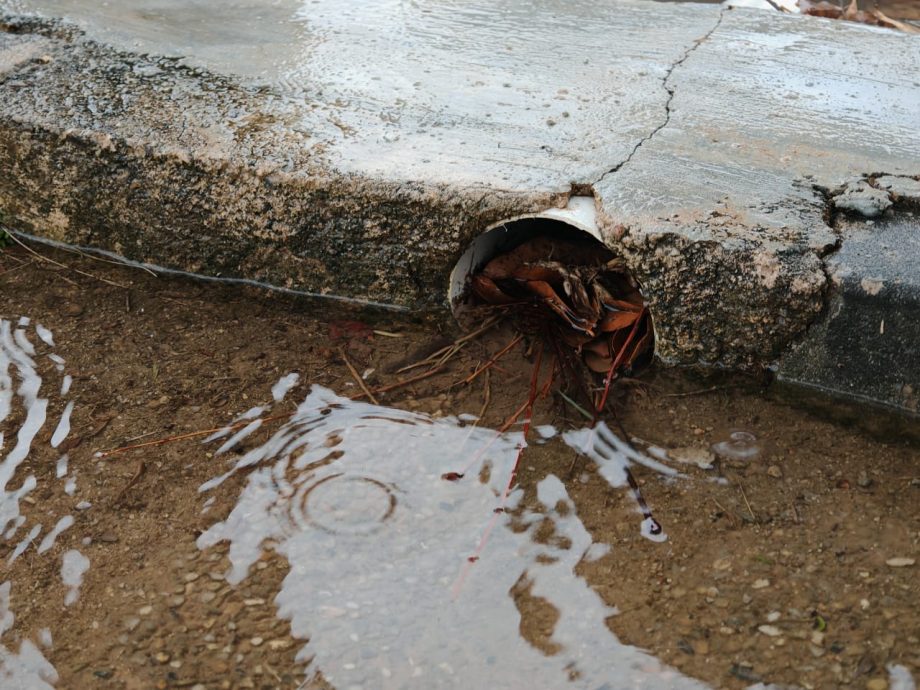 （古城版）排水沟阻塞致走道积水，游客有的“涉水而过”有的走在路堤上避开积水