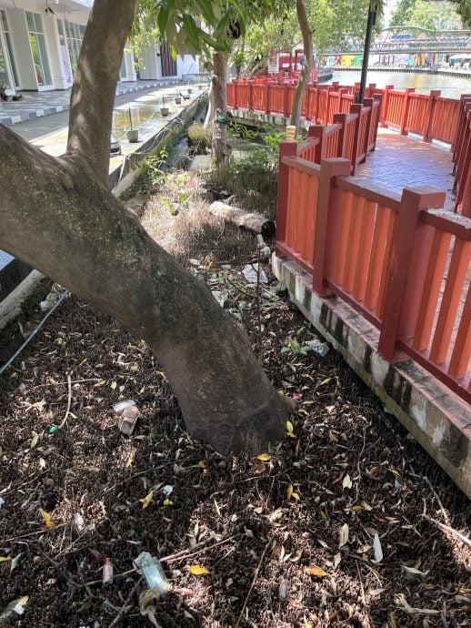 （古城第三版主文）鳄鱼成甲河霸主？四脚蛇大幅度消失