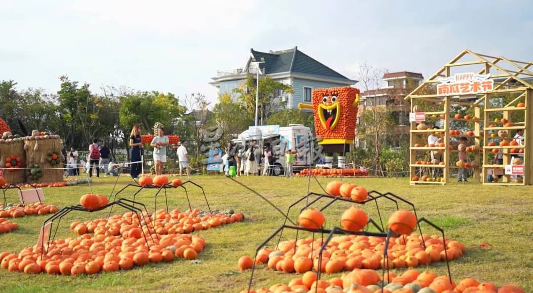 （大北马）中国特派稿：杭州“千万工程”考察团